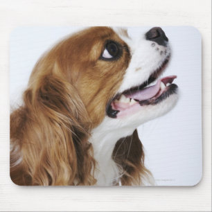 Cavalier King Charles Spaniel Mousepad
