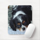 Cavalier King Charles Spaniel Mousepad (Mit Mouse)