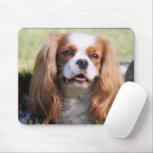 Cavalier King Charles Spaniel Mousepad (Mit Mouse)