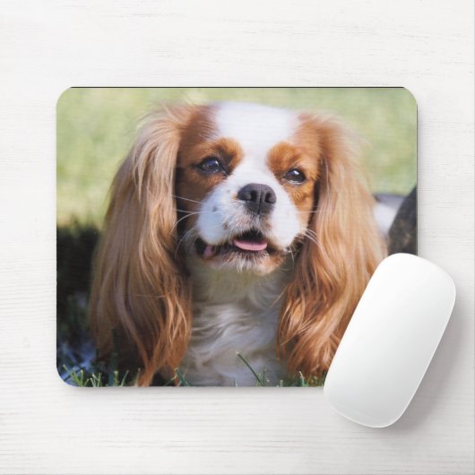 Cavalier King Charles Spaniel Mousepad (Mit Mouse)
