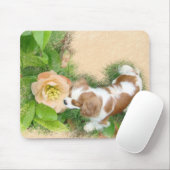 Cavalier King Charles Spaniel Mousepad (Mit Mouse)