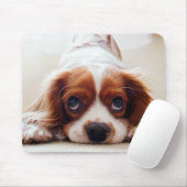 Cavalier King Charles Spaniel Mousepad (Mit Mouse)