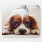 Cavalier King Charles Spaniel Mousepad (Vorne)