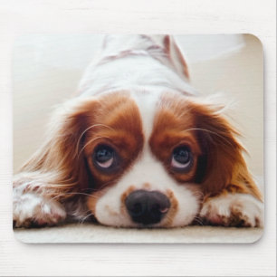 Cavalier King Charles Spaniel Mousepad
