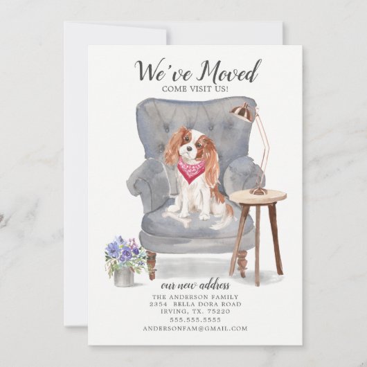 Cavalier King Charles Spaniel Moving Ankündigung (Vorderseite)