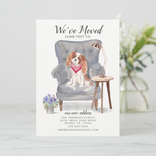 Cavalier King Charles Spaniel Moving Ankündigung (Stehend Vorderseite)