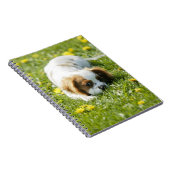 Cavalier King Charles Spaniel Notizblock (Rechte Seite)