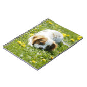 Cavalier King Charles Spaniel Notizblock (Linke Seite)