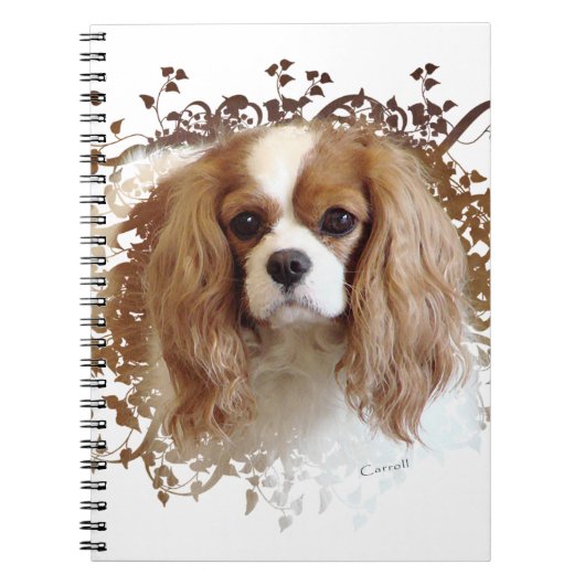 Cavalier King Charles Spaniel Notizblock (Vorderseite)