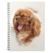 Cavalier King Charles Spaniel Notizblock (Vorderseite)