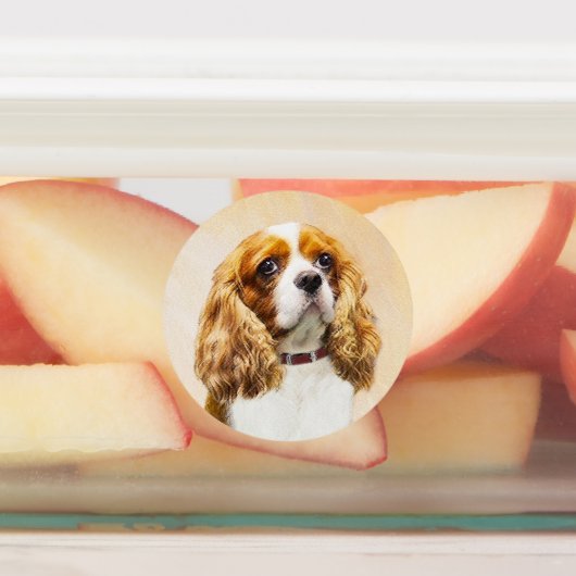 Cavalier King Charles Spaniel Original Malerei Etiketten (Befestigt)