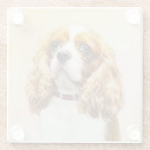 Cavalier King Charles Spaniel Original Malerei Glasuntersetzer (Rückseite)