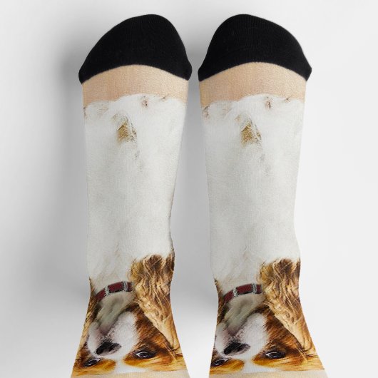 Cavalier King Charles Spaniel Original Malerei Socken (Oben)