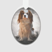 Cavalier King Charles Spaniel Ornament (Vorderseite)