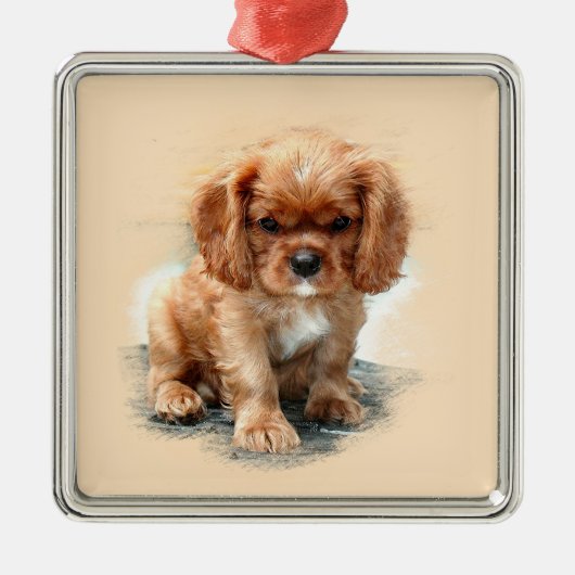Cavalier King Charles Spaniel Ornament Aus Metall (Vorne)