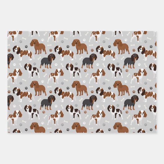 Cavalier King Charles Spaniel Paws and Bones Geschenkpapier Set (Vorderseite 3)