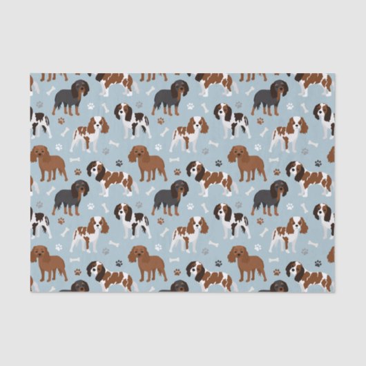 Cavalier King Charles Spaniel Paws and Bones Seidenpapier (Vorderseite)