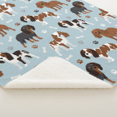 Cavalier King Charles Spaniel Paws and Bones Sherpadecke (3/4)