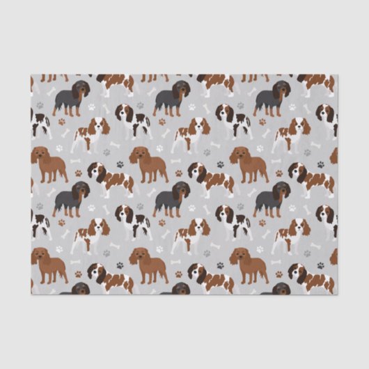 Cavalier King Charles Spaniel Paws and Bones Tissu Seidenpapier (Vorderseite)