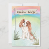Cavalier King Charles Spaniel Pet Beileid Karte (Vorderseite)