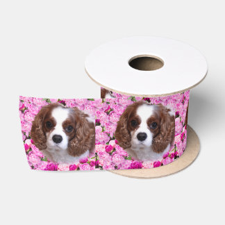 Cavalier King Charles Spaniel Pfingstrosen Satinband