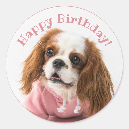 Cavalier King Charles Spaniel Pink Happy Birthday Runder Aufkleber (Vorderseite)