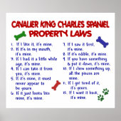 CAVALIER KING CHARLES SPANIEL PL2 POSTER (Vorne)