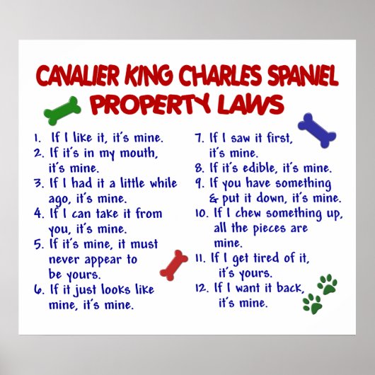CAVALIER KING CHARLES SPANIEL PL2 POSTER (Vorne)