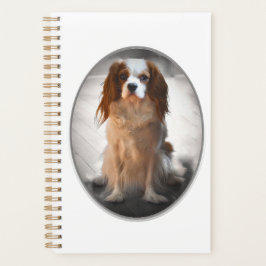 Cavalier King Charles Spaniel Planer