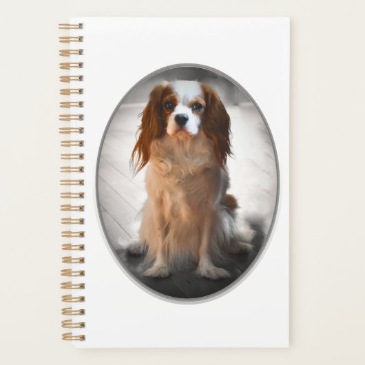 Cavalier King Charles Spaniel Planer (Vorderseite)