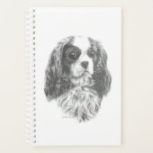 Cavalier King Charles Spaniel Planer (Vorderseite)
