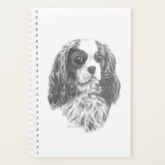 Cavalier King Charles Spaniel Planer (Vorderseite)