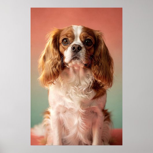 Cavalier King Charles Spaniel Portrait Poster (Vorne)