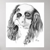 Cavalier King Charles Spaniel Poster (Vorne)