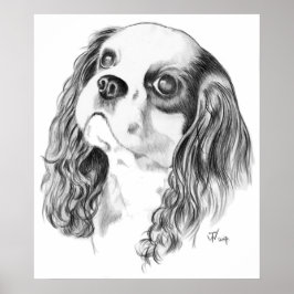 Cavalier King Charles Spaniel Poster