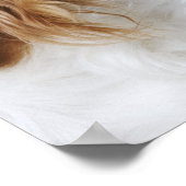 Cavalier King Charles Spaniel Poster (Ecke)