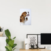 Cavalier King Charles Spaniel Poster (Heimbüro)