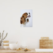 Cavalier King Charles Spaniel Poster (Küche)