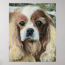 Cavalier King Charles Spaniel Poster