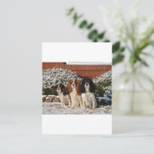 Cavalier King Charles Spaniel Postkarte (Stehend Vorderseite)