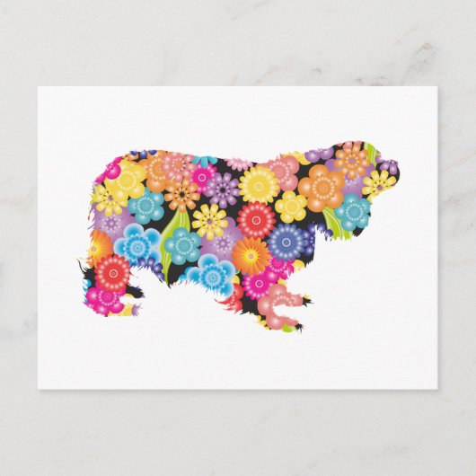 Cavalier King Charles Spaniel Postkarte (Vorderseite)