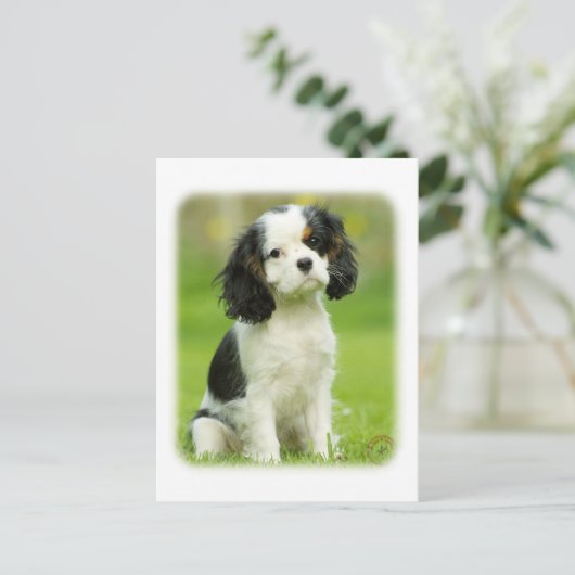 Cavalier King Charles Spaniel Postkarte (Stehend Vorderseite)