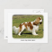 Cavalier King Charles Spaniel Postkarte (Vorne/Hinten)