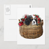 Cavalier King Charles Spaniel Postkarte (Vorne/Hinten)