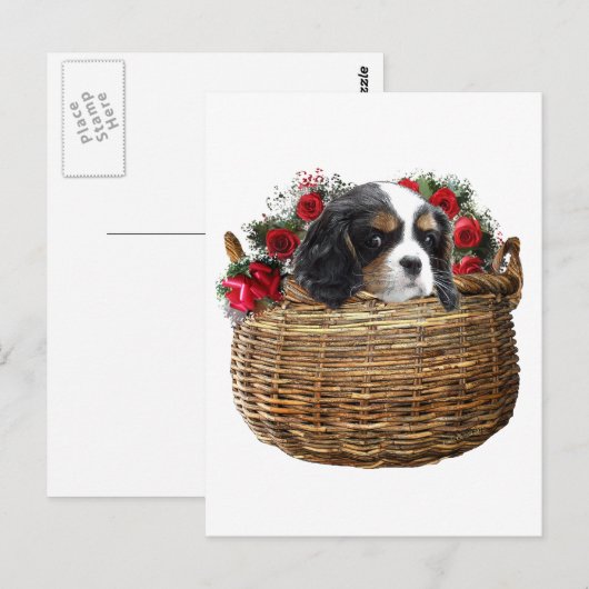 Cavalier King Charles Spaniel Postkarte (Vorne/Hinten)