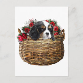 Cavalier King Charles Spaniel Postkarte