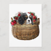 Cavalier King Charles Spaniel Postkarte (Vorderseite)