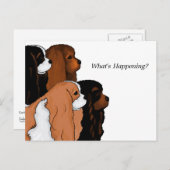 Cavalier King Charles Spaniel Postkarte (Vorne/Hinten)