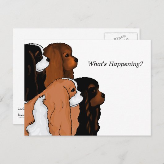 Cavalier King Charles Spaniel Postkarte (Vorne/Hinten)