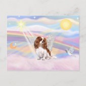 Cavalier King Charles Spaniel Postkarte (Vorderseite)